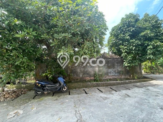 Rumah Mewah LB 144m2 Siap Huni Desain Elegan di Canggu, Badung Rumah Mewah LB 144m2 Siap Huni Desain Elegan di Canggu, Badung