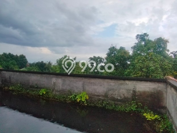 Tanah Kavling Dijual di Buleleng dengan Spesifikasi 2000m2 Tanah Kavling Dijual di Buleleng dengan Spesifikasi 2000m2