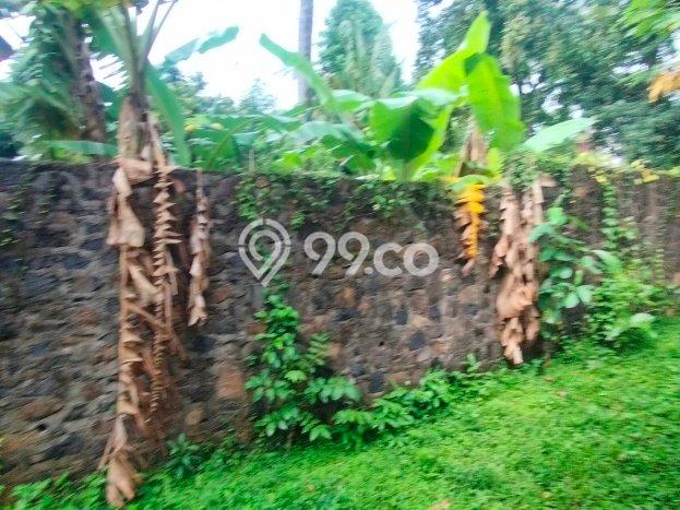 Tanah Kavling Dijual di Buleleng dengan Spesifikasi 2000m2 Tanah Kavling Dijual di Buleleng dengan Spesifikasi 2000m2
