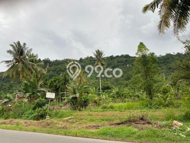 Tanah untuk Dijual Lokasi Kuranji, Padang Luas 19745m2 SHM Tanah untuk Dijual Lokasi Kuranji, Padang Luas 19745m2 SHM
