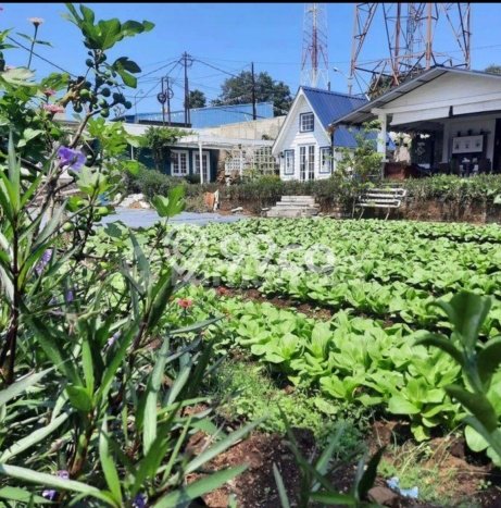 Dijual Vila di Lembang, Ukuran 988m², Posisi Strategis Dijual Vila di Lembang, Ukuran 988m², Posisi Strategis