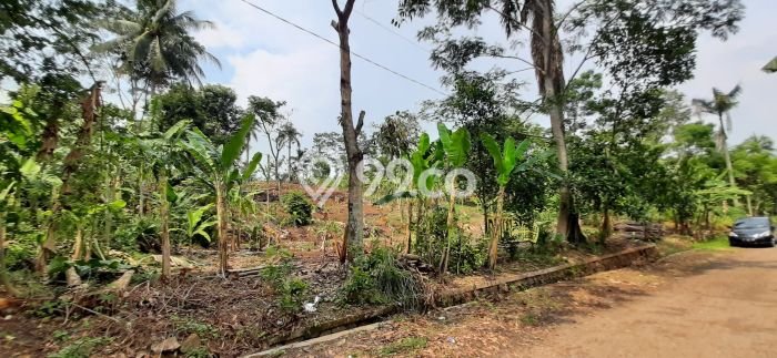 Tanah di Cariu, Bogor Luas 2670m2 Dijual Segera Tanah di Cariu, Bogor Luas 2670m2 Dijual Segera