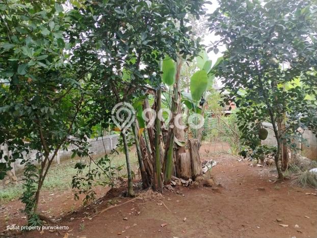 Rumah Strategis Modern Lb 52m2 di Purwokerto , Purwokerto Rumah Strategis Modern Lb 52m2 di Purwokerto , Purwokerto