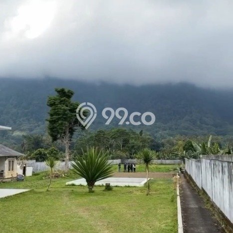 Tanah Kavling Dijual di Singaraja, Buleleng dengan Luas Tanah 5000m2 Tanah Kavling Dijual di Singaraja, Buleleng dengan Luas Tanah 5000m2