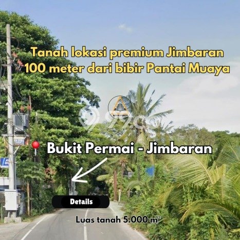 Tanah Kavling Dijual di Jimbaran, Badung dengan Luas Tanah 5000m2 Tanah Kavling Dijual di Jimbaran, Badung dengan Luas Tanah 5000m2