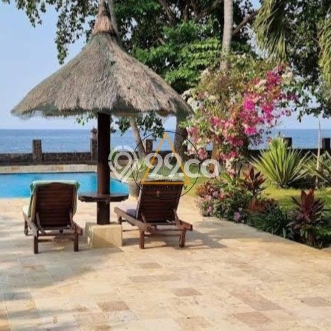 FOR SALE! Vila di Buleleng, Area 4000m2m², Posisi Strategis FOR SALE! Vila di Buleleng, Area 4000m2m², Posisi Strategis