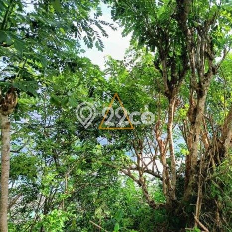 Tanah Disewakan Lokasi Uluwatu Badung Luas 4600m2 Tanah Disewakan Lokasi Uluwatu Badung Luas 4600m2