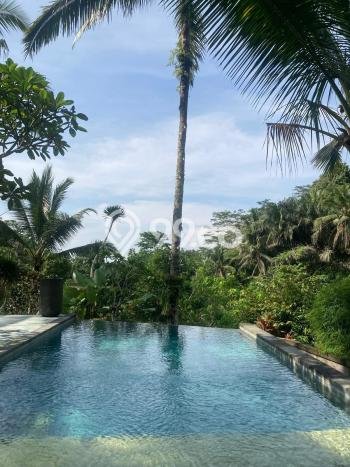 Komersial Favorit Dijual di Ubud Gianyar Area Pusat Bisnis Komersial Favorit Dijual di Ubud Gianyar Area Pusat Bisnis