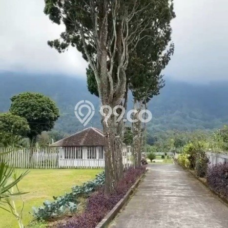 Tanah Kavling Dijual di Singaraja, Buleleng dengan Luas Tanah 5000m2 Tanah Kavling Dijual di Singaraja, Buleleng dengan Luas Tanah 5000m2