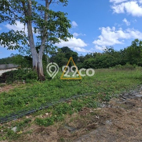 Tanah Disewa Strategis di Badung Luas 1620m2 Tanah Disewa Strategis di Badung Luas 1620m2