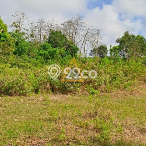 Tanah Bisnis di Ungasan, Luas 3000m², For Rent, Dekat Mudah Ungasan, Badung, Badung Tanah Bisnis di Ungasan, Luas 3000m², For Rent, Dekat Mudah Ungasan, Badung, Badung