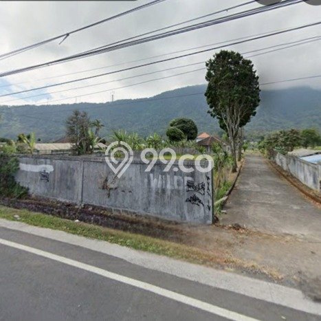 Tanah Kavling Dijual di Singaraja, Buleleng dengan Luas Tanah 5000m2 Tanah Kavling Dijual di Singaraja, Buleleng dengan Luas Tanah 5000m2