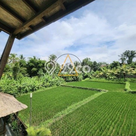 Aset Strategis! Vila di Ubud, Ukuran 2600m2m², Area Premium dengan nilai tinggi Aset Strategis! Vila di Ubud, Ukuran 2600m2m², Area Premium dengan nilai tinggi