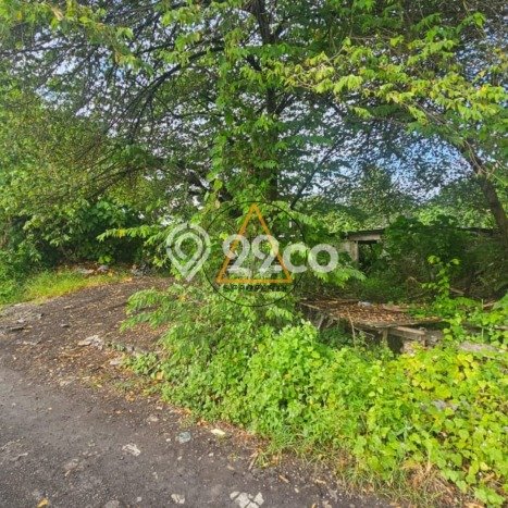 Kavling Tanah untuk Dijual di Canggu, Badung, Luas 455m2 Kavling Tanah untuk Dijual di Canggu, Badung, Luas 455m2