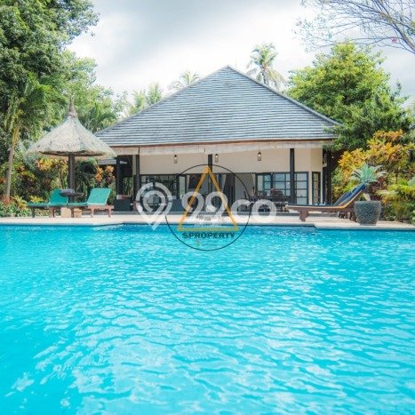 FOR SALE! Vila di Buleleng, Area 4000m2m², Posisi Strategis FOR SALE! Vila di Buleleng, Area 4000m2m², Posisi Strategis