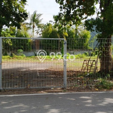 Tanah Kavling Dijual di Jimbaran, Badung dengan Luas Tanah 5000m2 Tanah Kavling Dijual di Jimbaran, Badung dengan Luas Tanah 5000m2