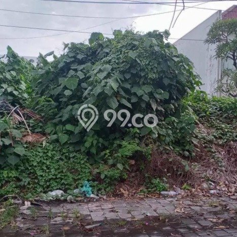 Dijual Tanah Lokasi Kerobokan, Badung Seluas 240m2 Dijual Tanah Lokasi Kerobokan, Badung Seluas 240m2