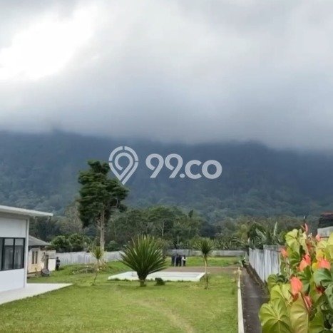 Tanah Kavling Dijual di Singaraja, Buleleng dengan Luas Tanah 5000m2 Tanah Kavling Dijual di Singaraja, Buleleng dengan Luas Tanah 5000m2