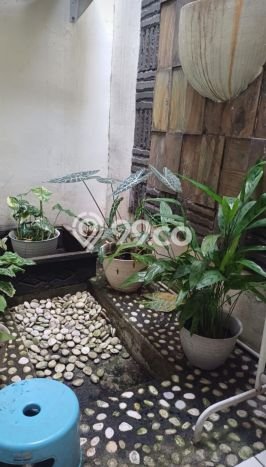 Rumah Modern 2 Kamar LT 120m2 di Sektor 9-Bintaro Rumah Modern 2 Kamar LT 120m2 di Sektor 9-Bintaro