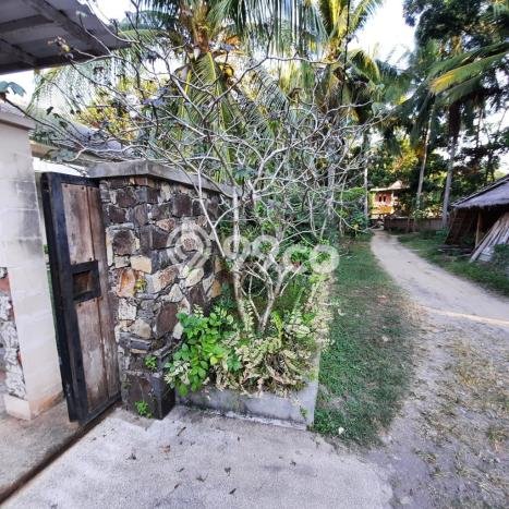 Hot Offer Hunian Mewah Ideal dan Luas di Pujut, Lombok Tengah Hot Offer Hunian Mewah Ideal dan Luas di Pujut, Lombok Tengah