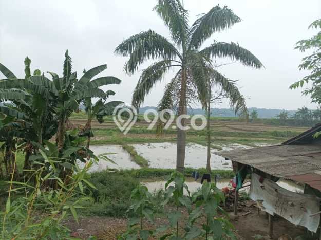 Tanah Kawasan Cariu, Luas 32000m2m², Jalur Strategis, Area Berkembang Tanah Kawasan Cariu, Luas 32000m2m², Jalur Strategis, Area Berkembang