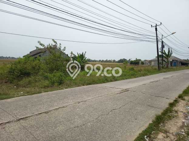 Lahan Investasi Lokasi Sukawangi Bekasi SHM Lahan Investasi Lokasi Sukawangi Bekasi SHM
