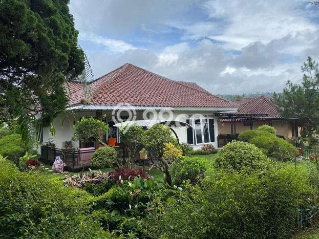 Vila Premium di Cipanas, Luas 400m2m², Akses Cipanas, Cianjur, Cianjur Vila Premium di Cipanas, Luas 400m2m², Akses Cipanas, Cianjur, Cianjur