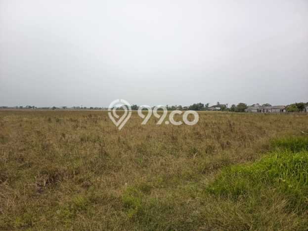 Lahan Investasi Lokasi Sukawangi Bekasi SHM Lahan Investasi Lokasi Sukawangi Bekasi SHM