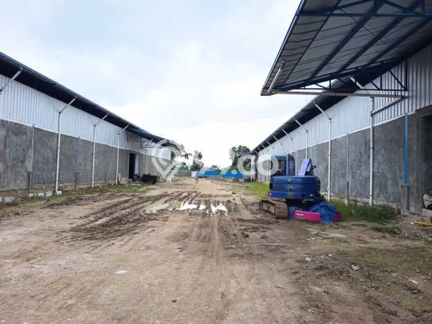 Pabrik disewakan di Ligung Majalengka dengan luas bangunan 17000m2 Pabrik disewakan di Ligung Majalengka dengan luas bangunan 17000m2