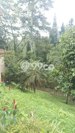 Vila Strategis di Megamendung, Area 3450m2m², Area Asri untuk keluarga Vila Strategis di Megamendung, Area 3450m2m², Area Asri untuk keluarga