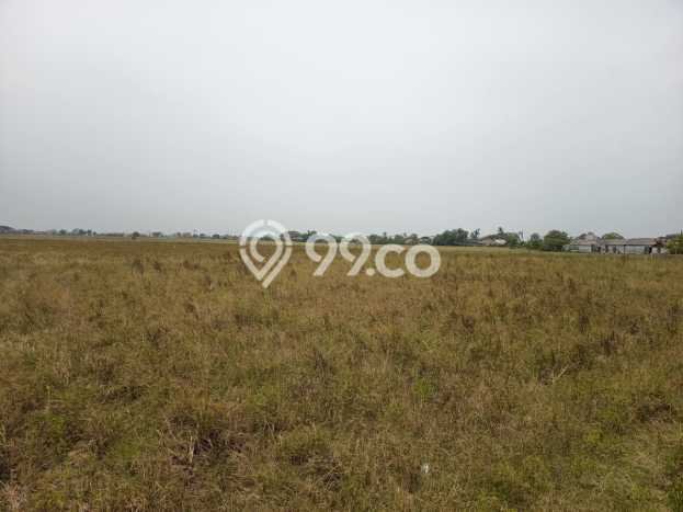 Lahan Investasi Lokasi Sukawangi Bekasi SHM Lahan Investasi Lokasi Sukawangi Bekasi SHM
