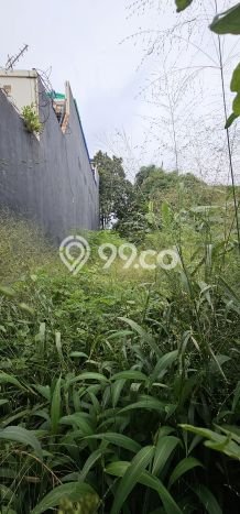 Tanah Investasi Dijual di Tangerang Selatan Punya Luas 839m2 Tanah Investasi Dijual di Tangerang Selatan Punya Luas 839m2