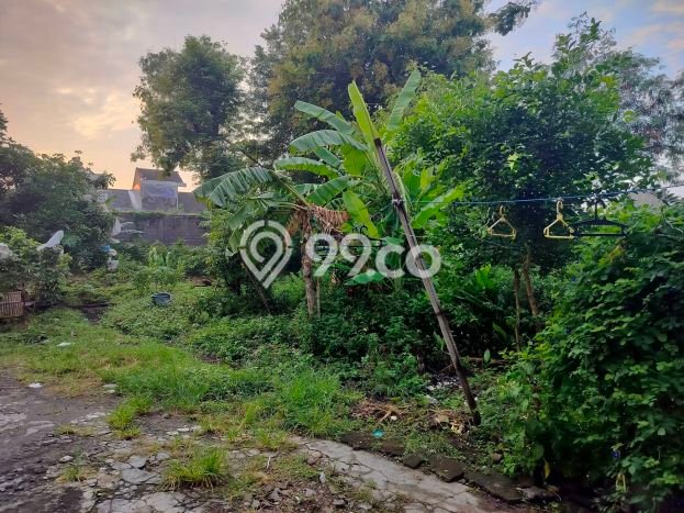 Lahan Kosong Dijual di Karanganyar dengan Area 200m2 Lahan Kosong Dijual di Karanganyar dengan Area 200m2