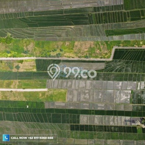 Lahan Disewakan Lokasi Kerobokan Badung Luas 1000m2 Lahan Disewakan Lokasi Kerobokan Badung Luas 1000m2