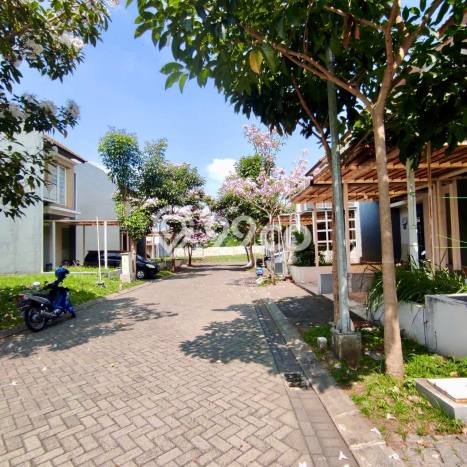 Rumah Luas Asri 2 KT Siap Pakai di Araya Malang Rumah Luas Asri 2 KT Siap Pakai di Araya Malang
