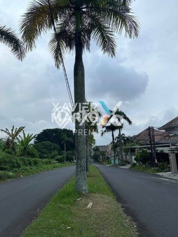 Tanah Disewakan Lokasi Dieng Malang Luas 800m2 Tanah Disewakan Lokasi Dieng Malang Luas 800m2