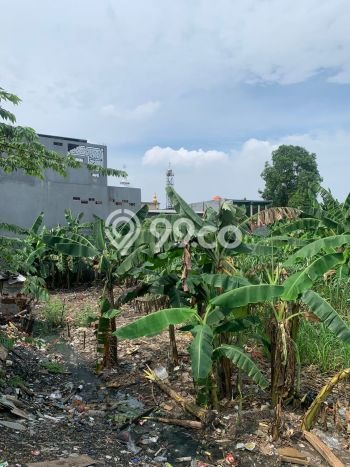 Tanah Dijual Lokasi Pondok Aren, Tangerang Selatan Luas 4563m2 Legalitas Aman Tanah Dijual Lokasi Pondok Aren, Tangerang Selatan Luas 4563m2 Legalitas Aman