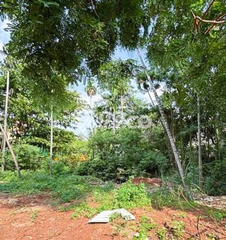 Untuk Dijual Tanah di Jakarta Timur, Luas 1497m2 SHM Untuk Dijual Tanah di Jakarta Timur, Luas 1497m2 SHM