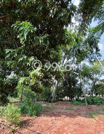 Untuk Dijual Tanah di Jakarta Timur, Luas 1497m2 SHM Untuk Dijual Tanah di Jakarta Timur, Luas 1497m2 SHM