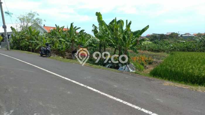 Dijual Tanah 1900m2 di canggu, Badung Dijual Tanah 1900m2 di canggu, Badung