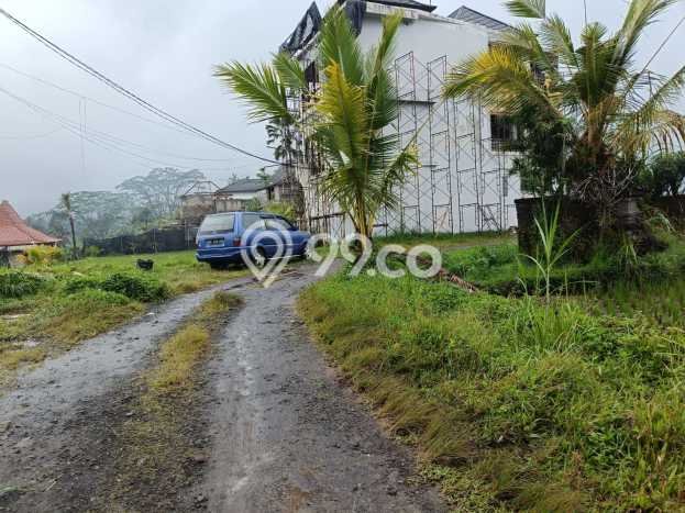 Tanah untuk Dijual di Payangan Gianyar Luas 66118m2 Tanah untuk Dijual di Payangan Gianyar Luas 66118m2