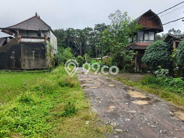 Tanah untuk Dijual di Payangan Gianyar Luas 66118m2 Tanah untuk Dijual di Payangan Gianyar Luas 66118m2