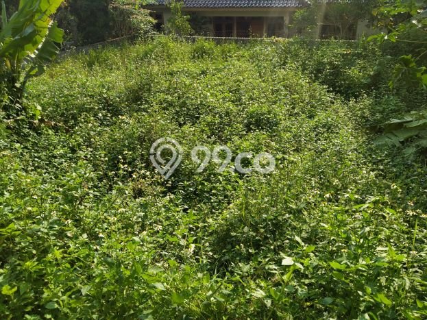 Jual Rumah Minimalis Bagus Punya 2 KT di Cimahi Utara Cimahi SHM Jual Rumah Minimalis Bagus Punya 2 KT di Cimahi Utara Cimahi SHM