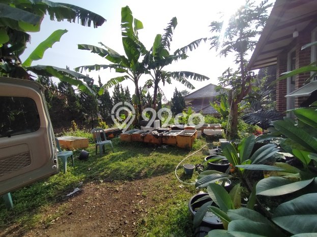 Jual Rumah Minimalis Bagus Punya 2 KT di Cimahi Utara Cimahi SHM Jual Rumah Minimalis Bagus Punya 2 KT di Cimahi Utara Cimahi SHM