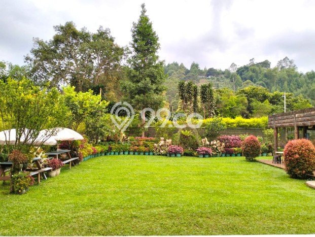 PELUANG INVESTASI! Vila Kawasan , Area 1000m2m², Prospek Bagus PELUANG INVESTASI! Vila Kawasan , Area 1000m2m², Prospek Bagus