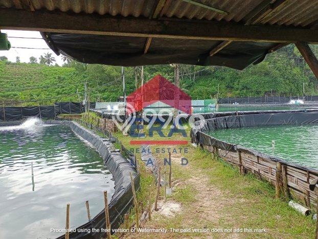 Tanah di Pacitan, Pacitan Luas 13000m2 Dijual Segera Tanah di Pacitan, Pacitan Luas 13000m2 Dijual Segera