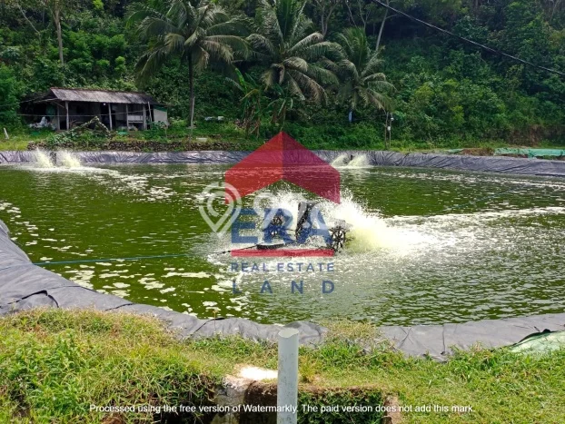 Tanah di Pacitan, Pacitan Luas 13000m2 Dijual Segera Tanah di Pacitan, Pacitan Luas 13000m2 Dijual Segera