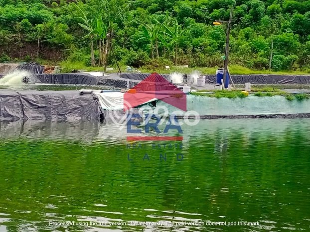 Tanah di Pacitan, Pacitan Luas 13000m2 Dijual Segera Tanah di Pacitan, Pacitan Luas 13000m2 Dijual Segera