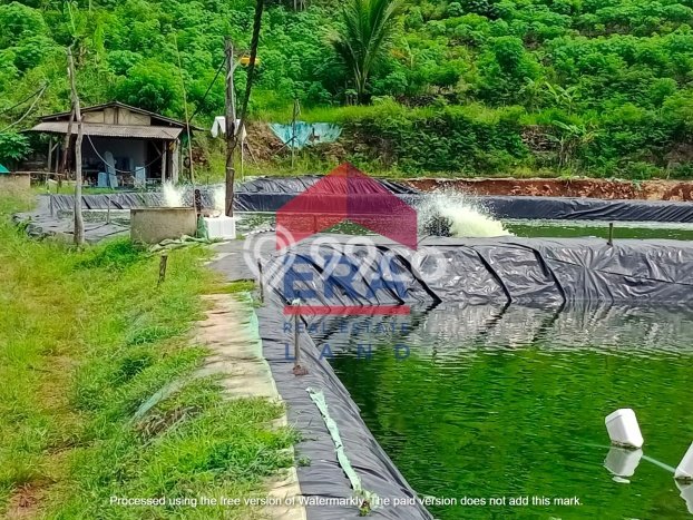 Tanah di Pacitan, Pacitan Luas 13000m2 Dijual Segera Tanah di Pacitan, Pacitan Luas 13000m2 Dijual Segera