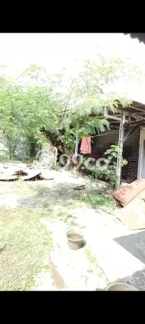 Tanah Kavling untuk Dijual di Kelapa Dua Tangerang 280m2 Tanah Kavling untuk Dijual di Kelapa Dua Tangerang 280m2